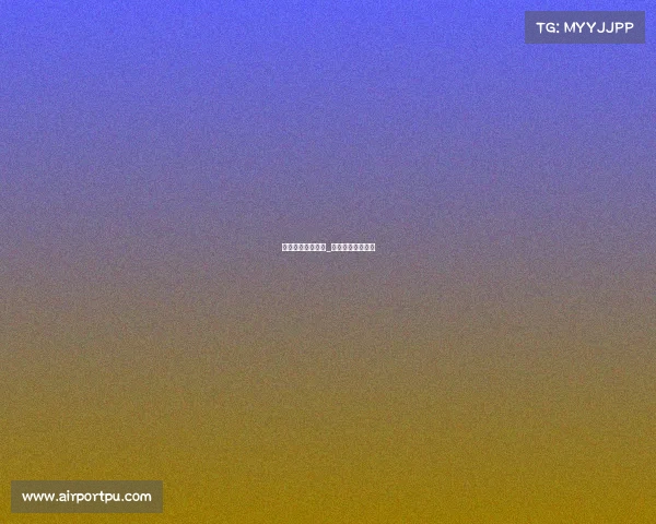 举办体育赛事合同_体育赛事承办流程