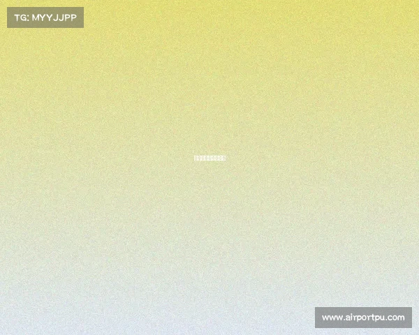 体育赛事成果怎么写