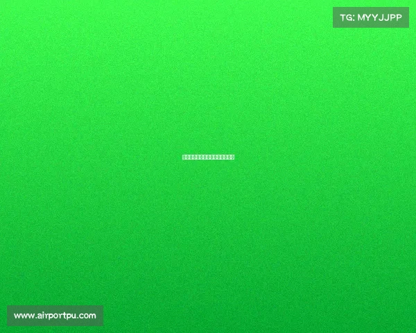 纽约的体育赛事—纽约体育场排名