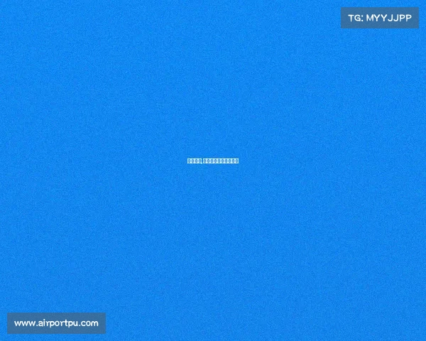 世拓赛事,世拓网络科技有限公司