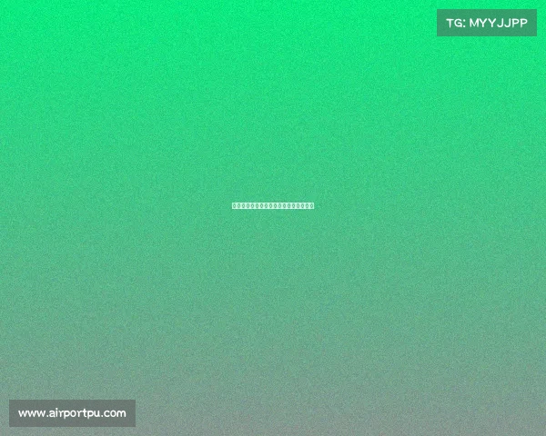 今日温州跆拳道赛事激情开赛火热进行中